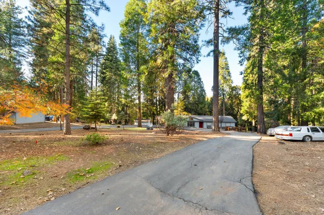 a view of a street with a fire pit and a tree