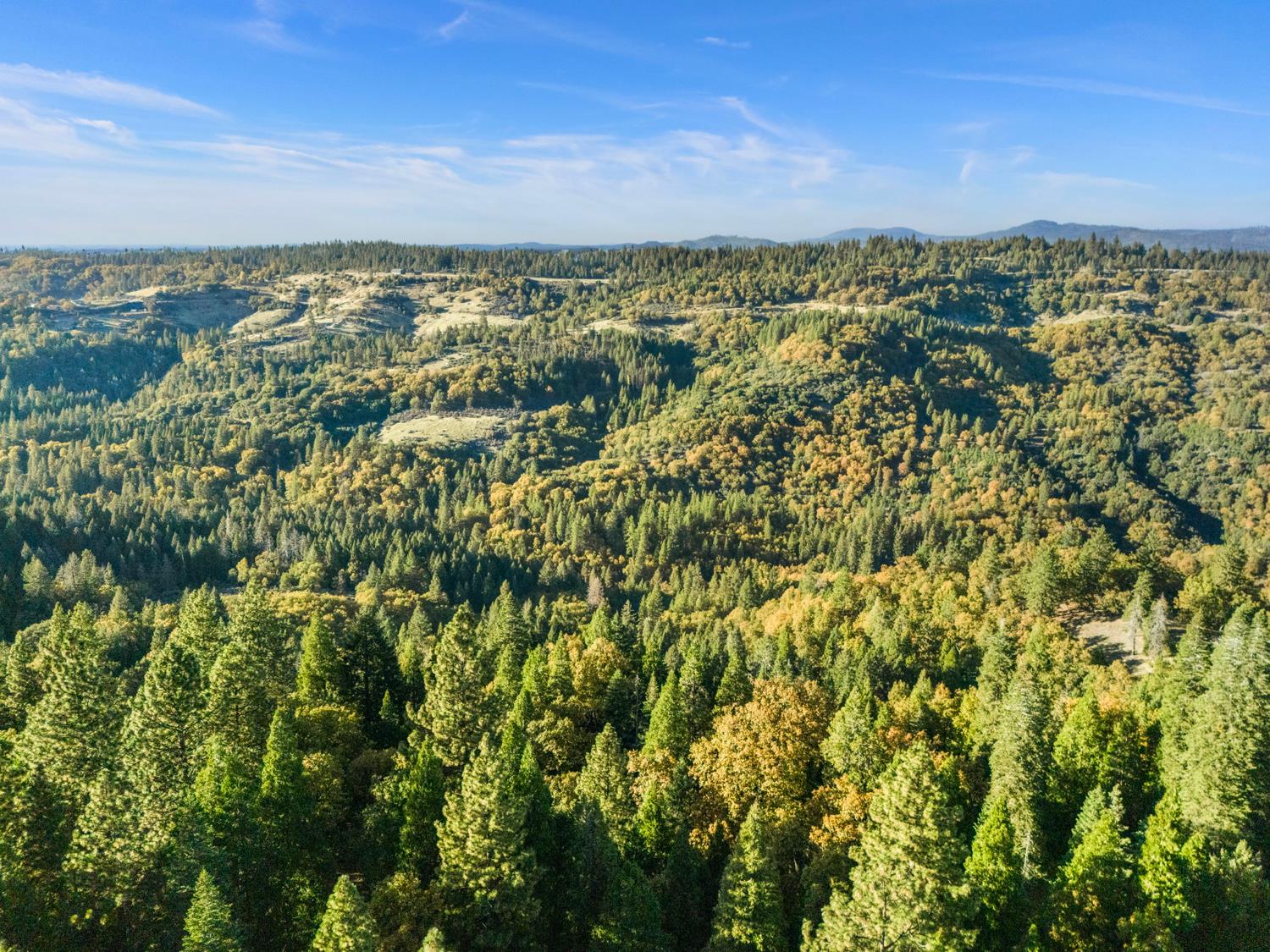 5819 Lynx Trail Pollock Pines, CA 95726 - Photo 31 of 34