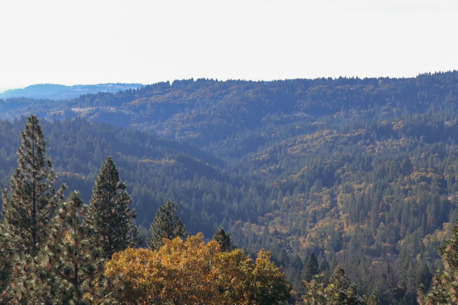 5819 Lynx Trail Pollock Pines, CA 95726 - Photo 32 of 34 a view of a mountain in the distance in a field