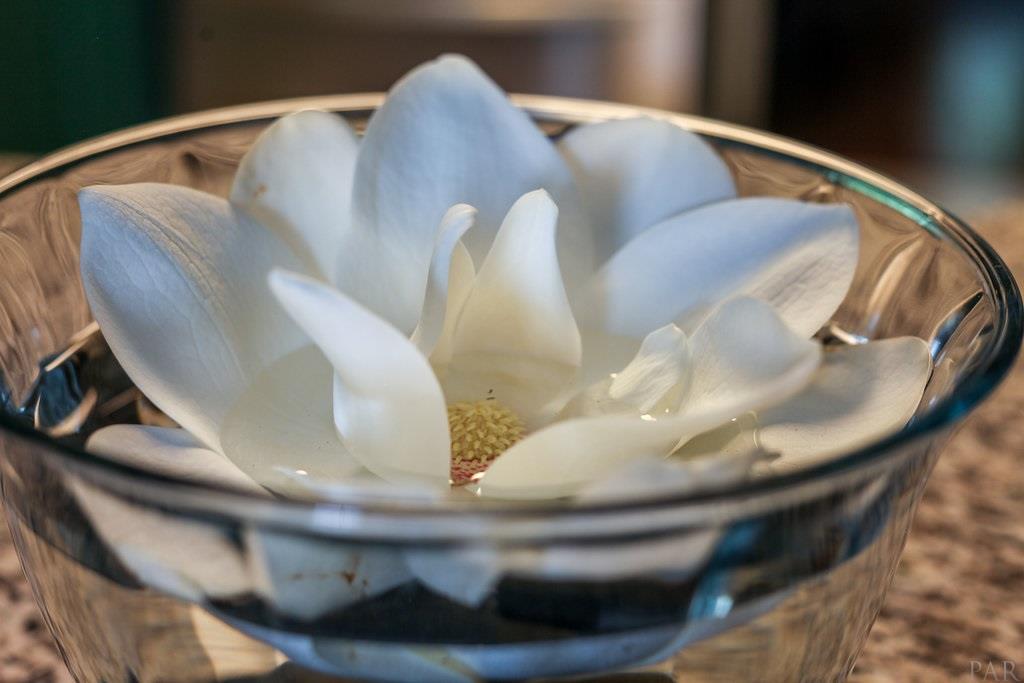 2950 Stefani Road Cantonment, FL 32533 - Photo 12 of 49