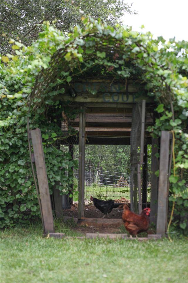 2950 Stefani Road Cantonment, FL 32533 - Photo 38 of 49