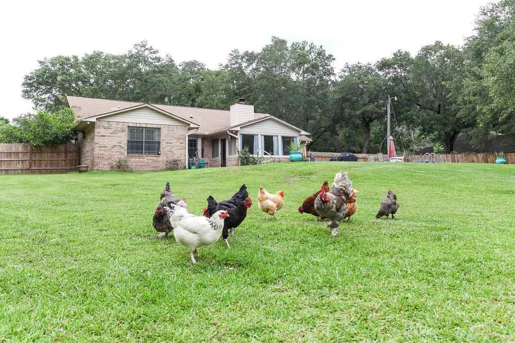 2950 Stefani Road Cantonment, FL 32533 - Photo 41 of 49