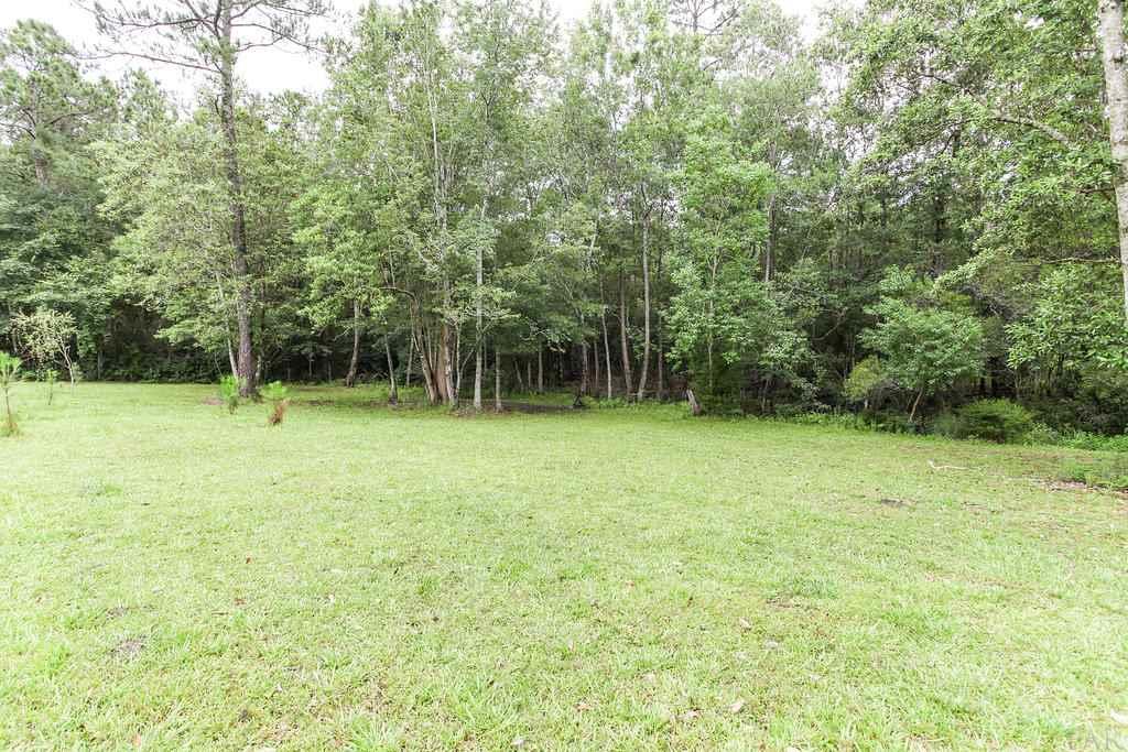 2950 Stefani Road Cantonment, FL 32533 - Photo 44 of 49 Just waiting for a horse