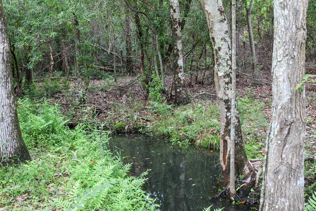 2950 Stefani Road Cantonment, FL 32533 - Photo 45 of 49