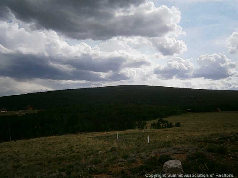 556 Sheep Ridge Road Fairplay, CO 80440 - Photo 12 of 13 View. South Facing