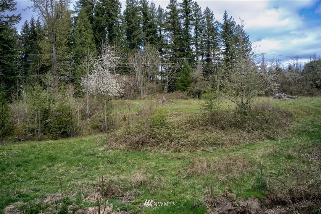 27802 Johns Road East Buckley, WA 98321 - Photo 12 of 25 Gallery Image 12