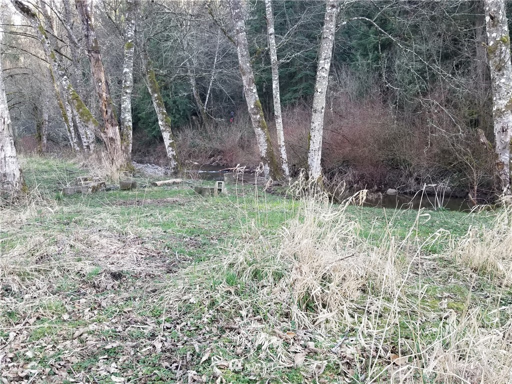 27802 Johns Road East Buckley, WA 98321 - Photo 15 of 25 Gallery Image 15