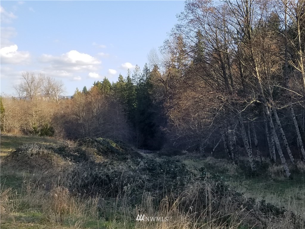 27802 Johns Road East Buckley, WA 98321 - Photo 17 of 25 Gallery Image 17