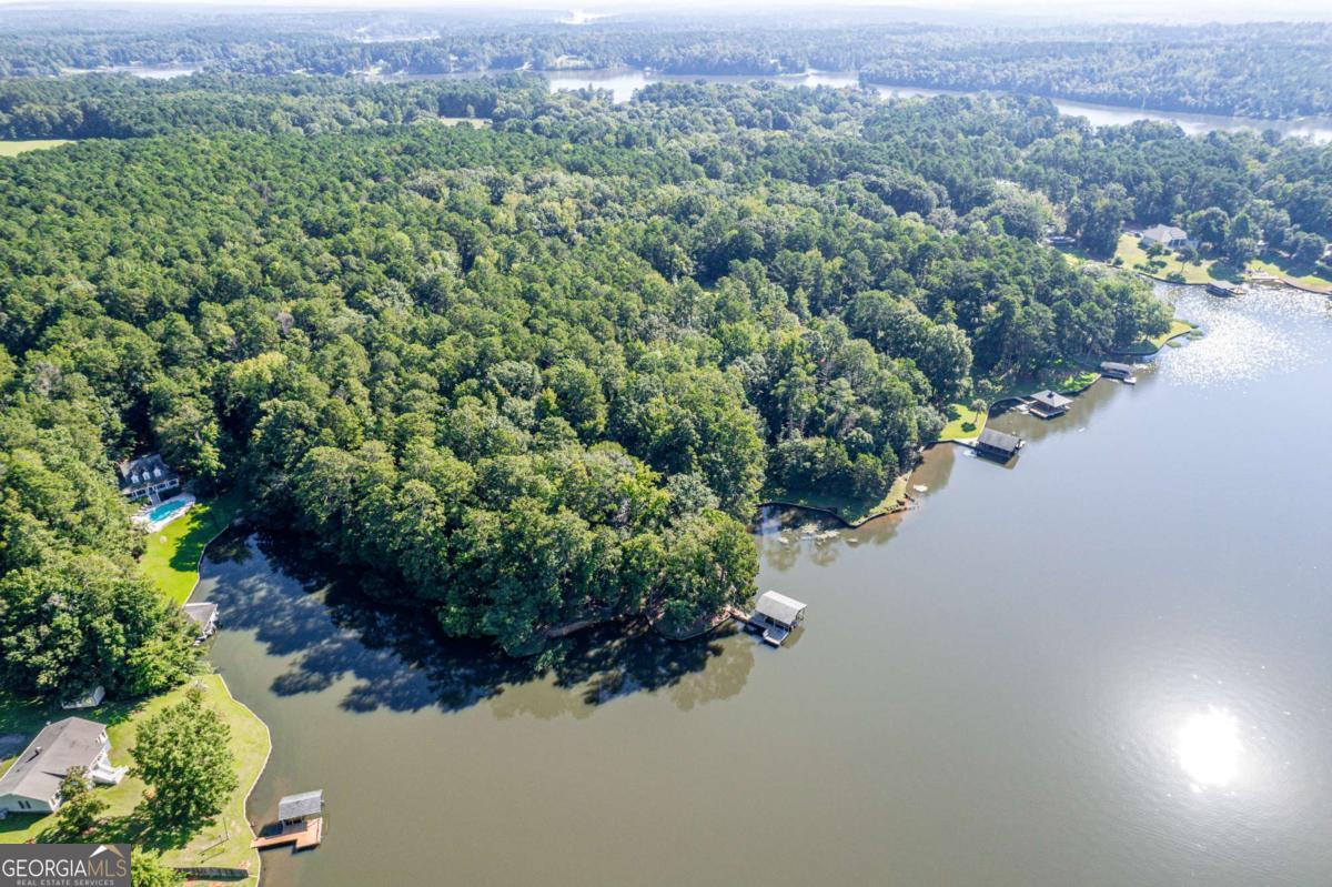188 South Steel Bridge Road Eatonton, GA 31024 - Photo 11 of 52