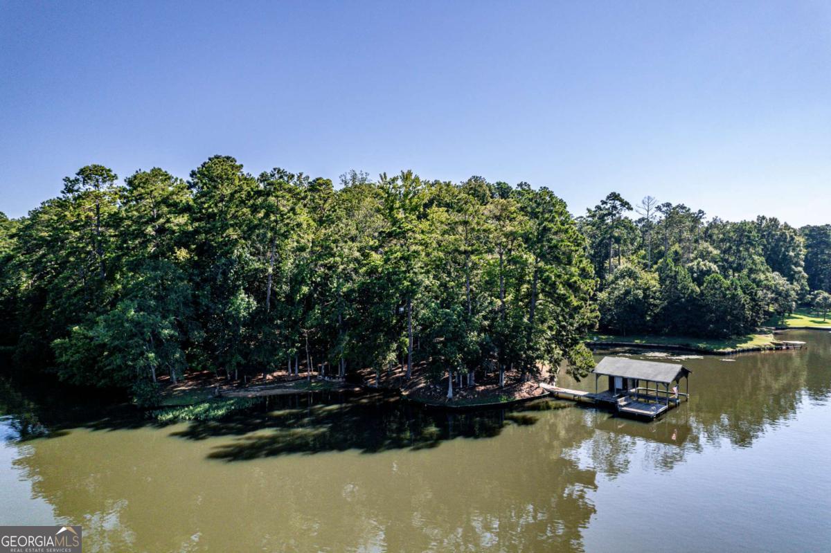 188 South Steel Bridge Road Eatonton, GA 31024 - Photo 9 of 52