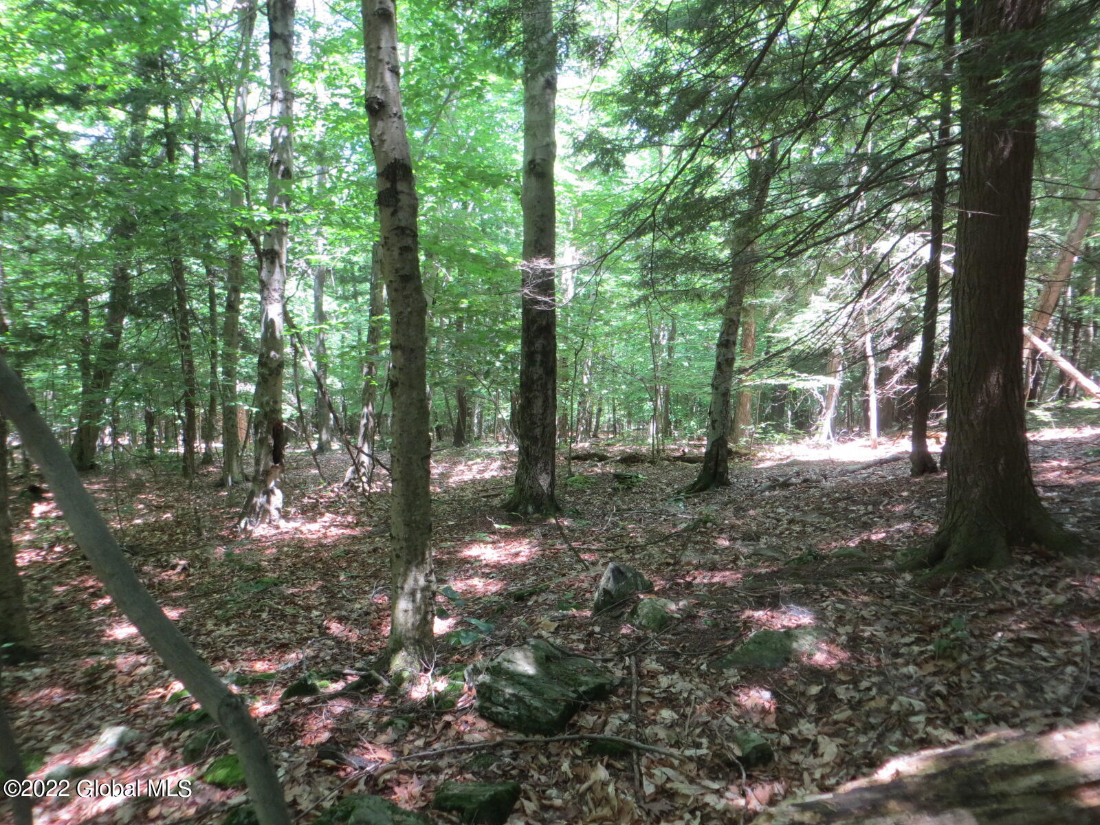 92 Lakeview Road Grafton, NY 12138 - Photo 3 of 17 IMG_0298