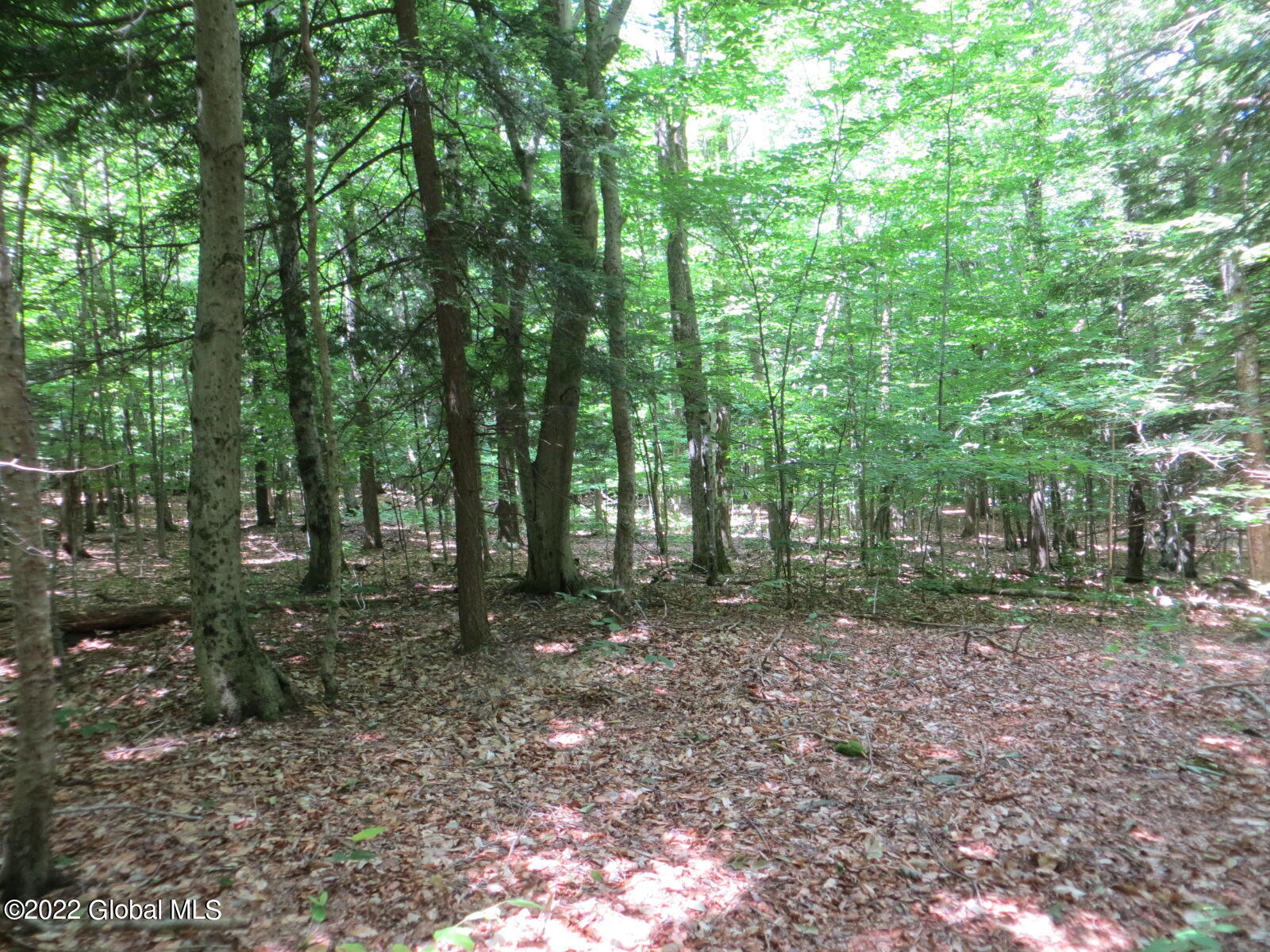 92 Lakeview Road Grafton, NY 12138 - Photo 5 of 17 IMG_0301