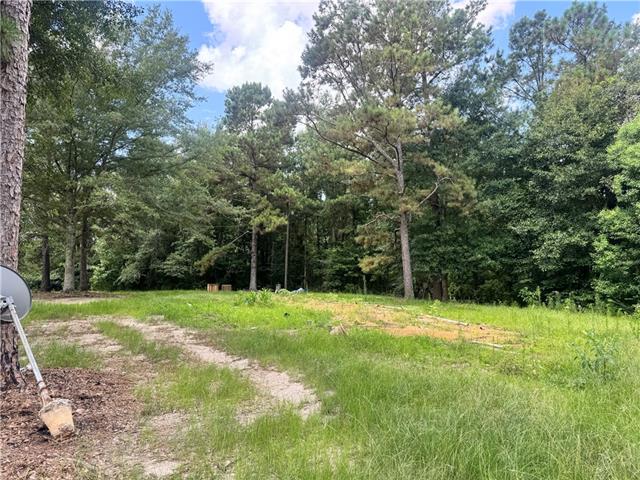 72045 South Lewiston Road Kentwood, LA 70444 - Photo 6 of 17