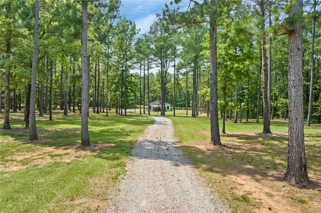 6669 West Farmville Road Waverly, AL 36879 - Photo 21 of 41 Internal drive
