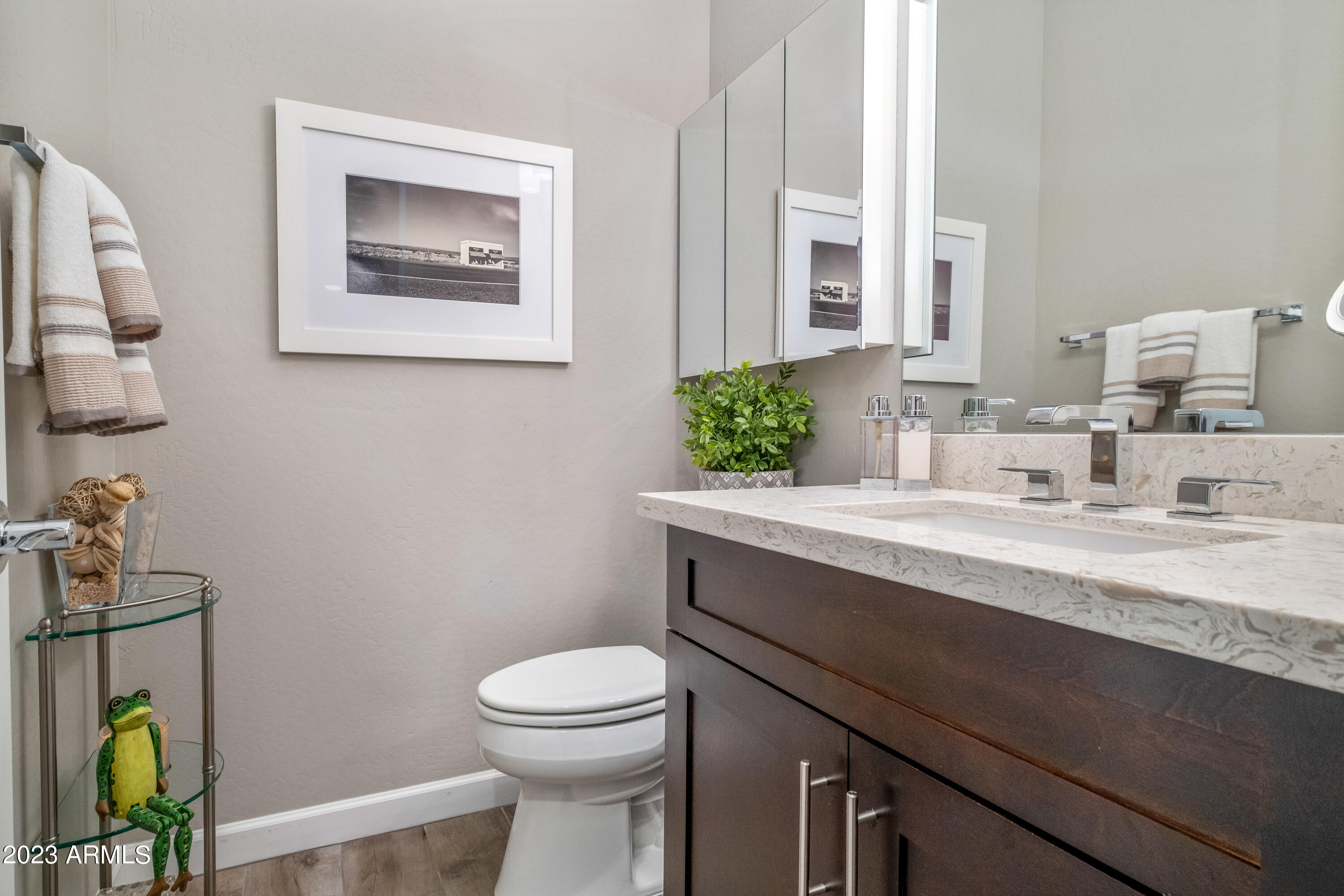 27900 Tranquilo Way Rio Verde, AZ 85263 - Photo 30 of 38 Powder room