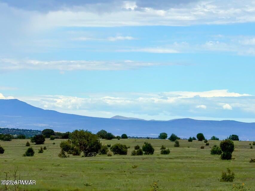215 Gleed Station Road Ash Fork, AZ 86320 - Photo 9 of 16 Gallery Image 9