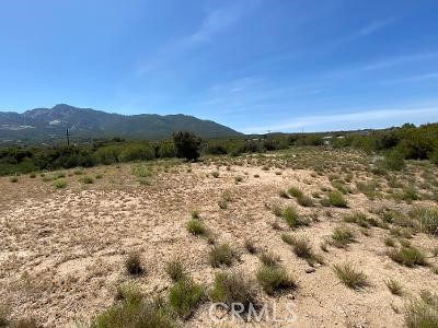 19 Higgins Road Anza, CA 92539 - Photo 10 of 18