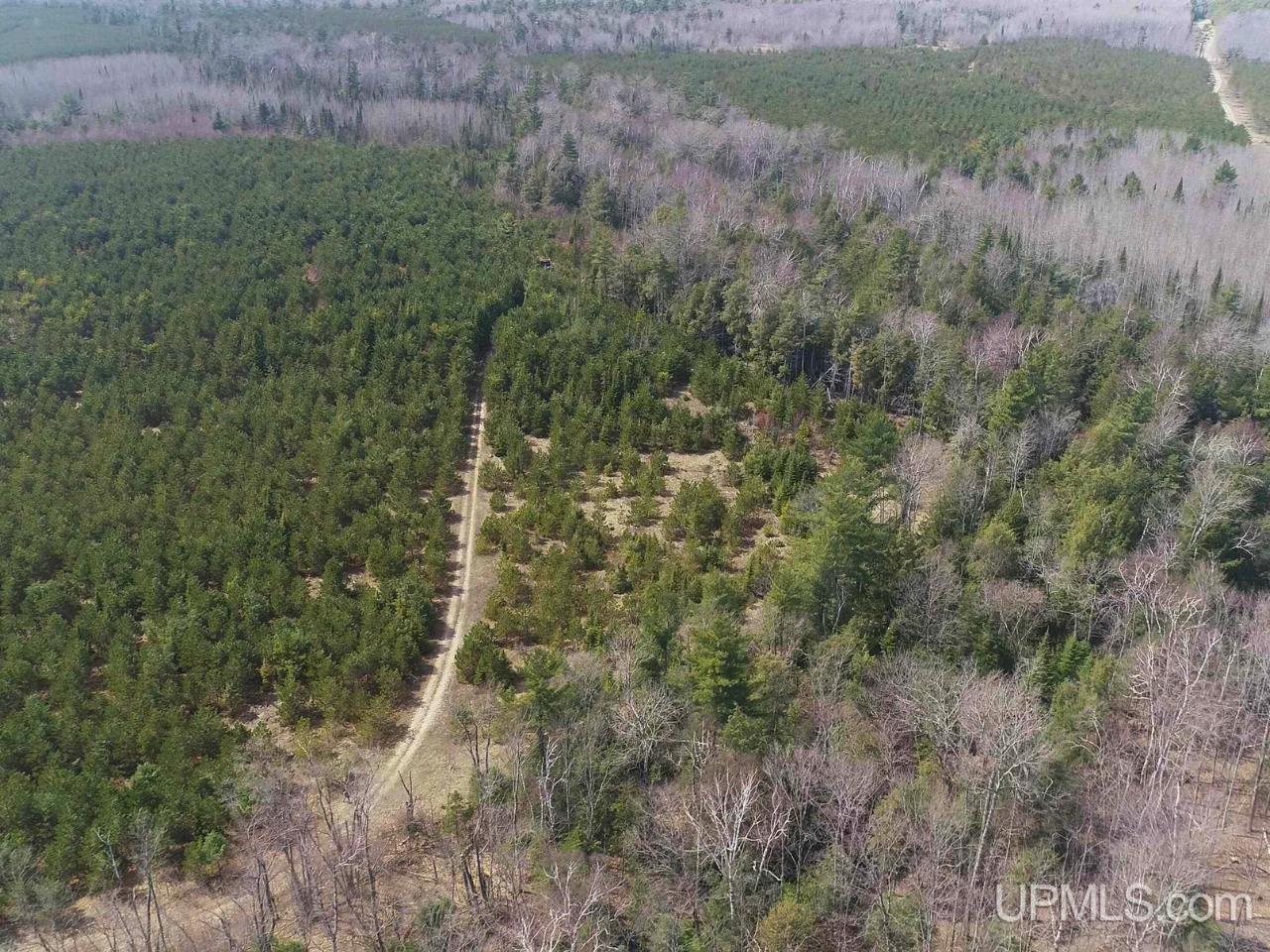 40-acres Gierke Road Manistique, MI 49854 - Photo 36 of 39