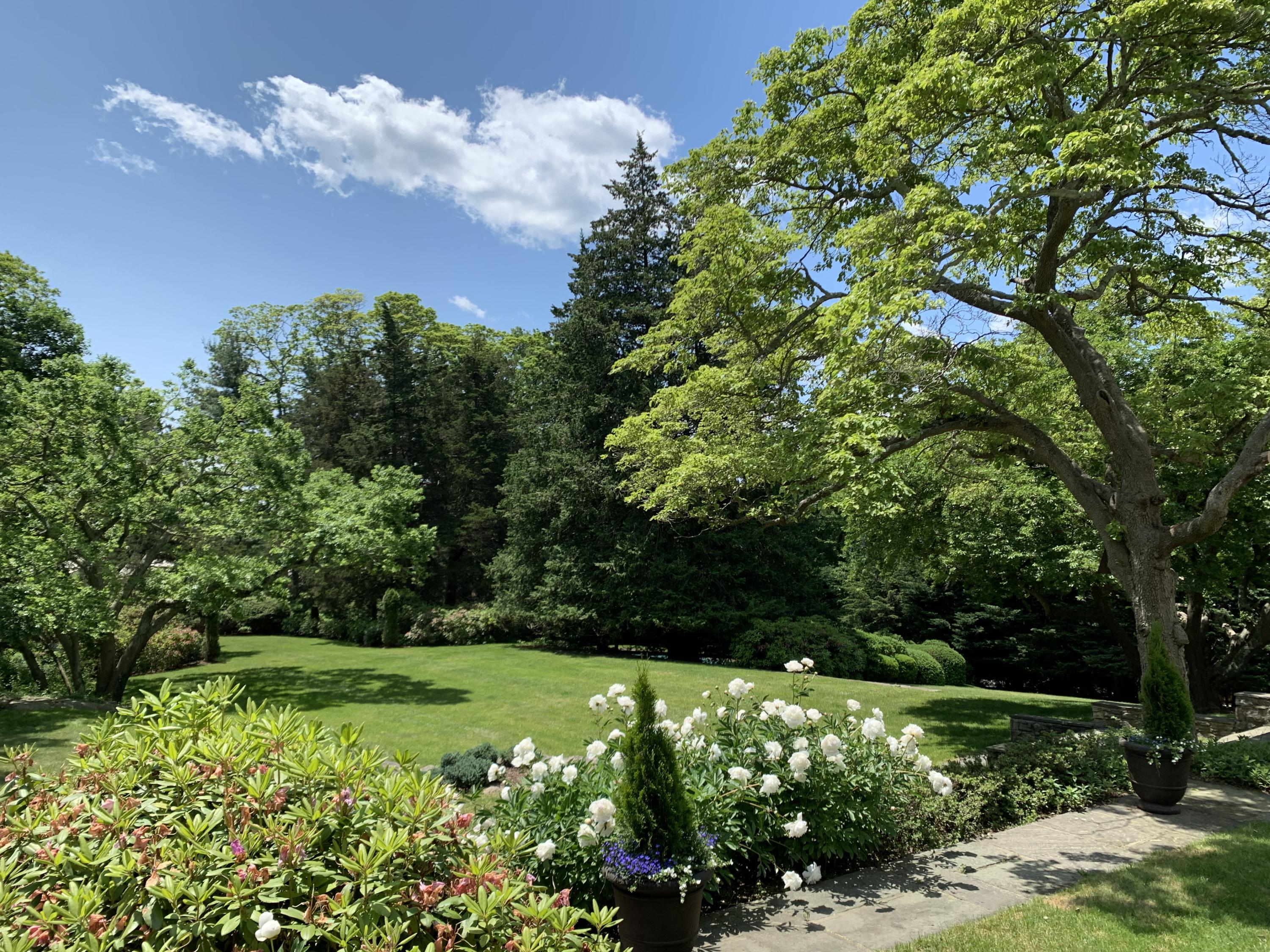 42 Old Farm Road Darien, CT 06820 - Photo 7 of 35 a view of a yard with flower plants and large trees