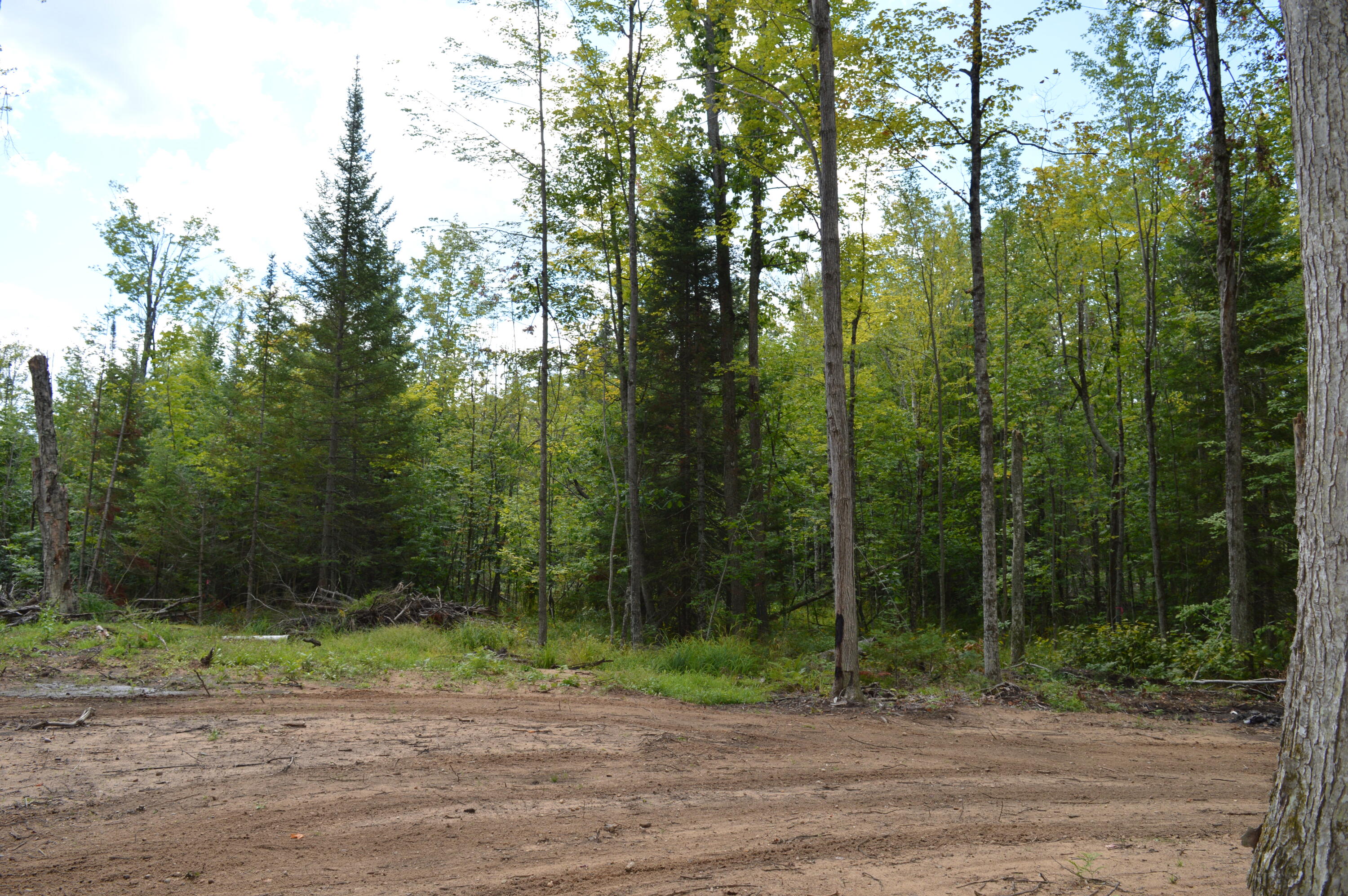 East County Line Road South Branch, MI 48761 - Photo 35 of 87 Gallery Image 35