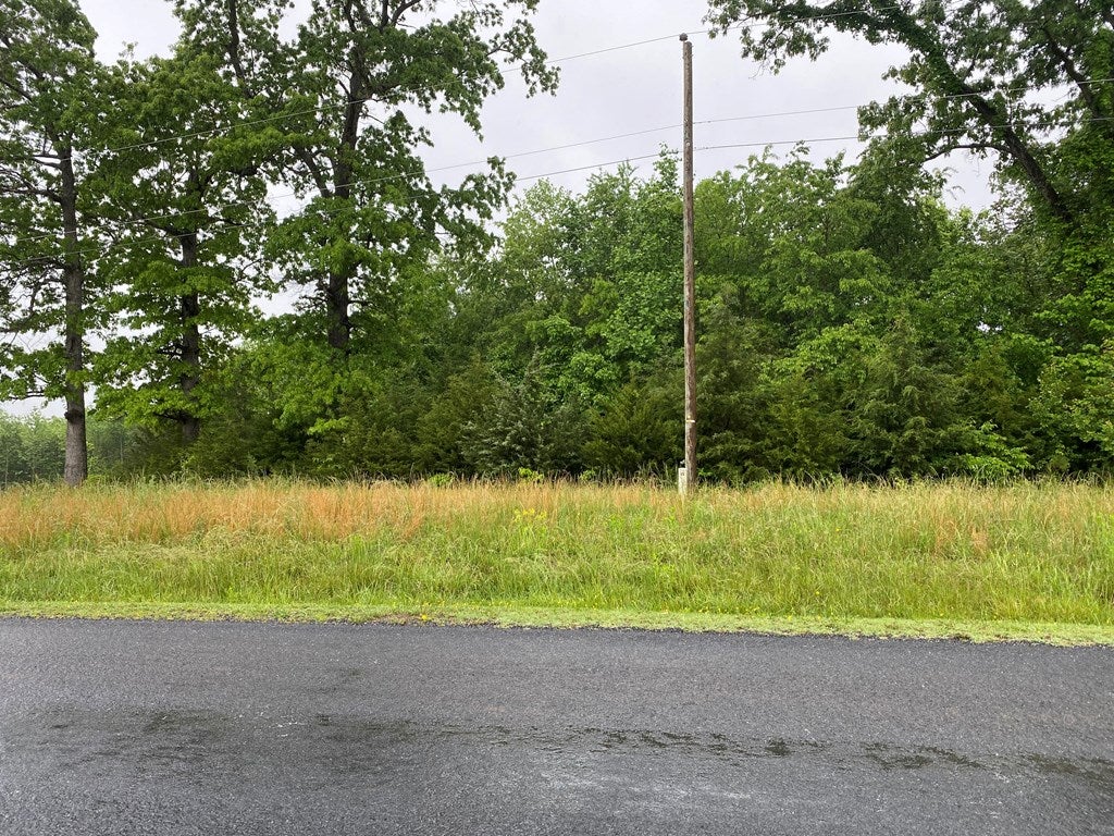 0 Whorley Town Road Buckingham, VA 23921 - Photo 4 of 4 Gallery Image 4