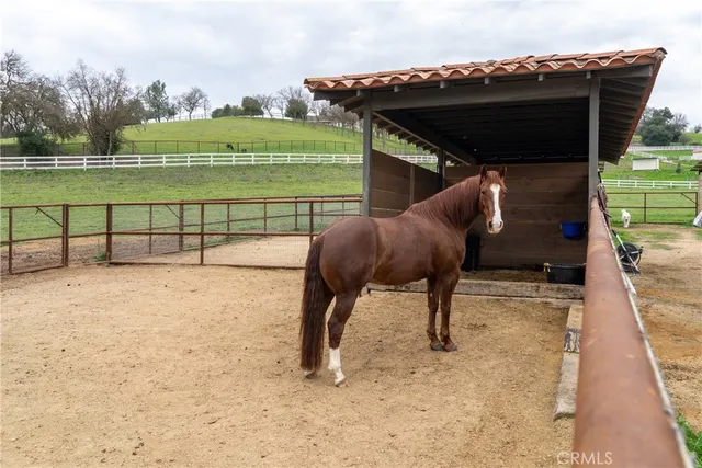 $1,999,900 | 805 Spring Creek Way, Templeton, CA 93465