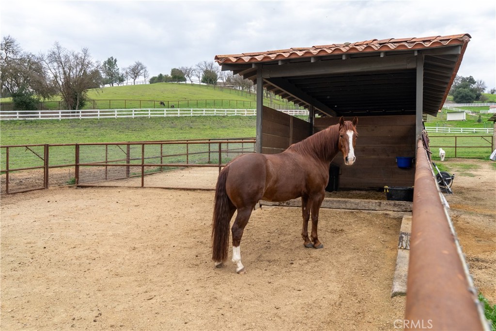 805 Spring Creek Way Templeton, CA 93465 - Photo 49 of 66 Horse Facilities
