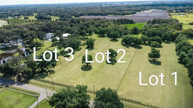 a view of a bunch of trees and bushes