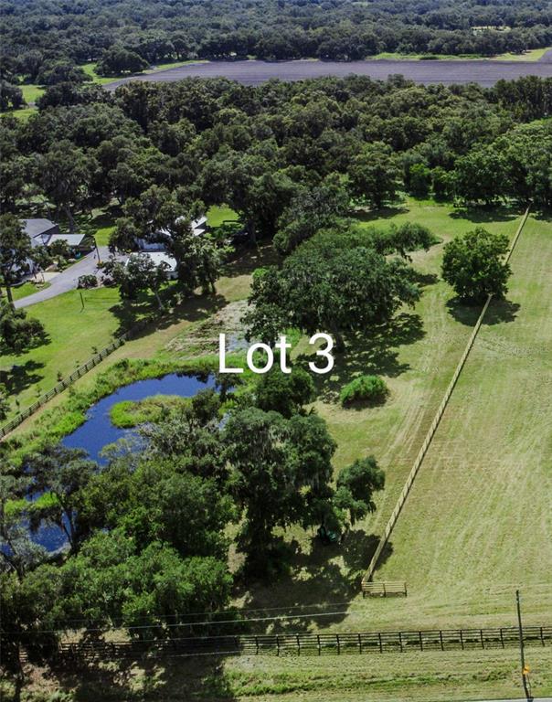 Gallagher Road Plant City, FL 33565 - Photo 6 of 7 a view of a bunch of trees and bushes
