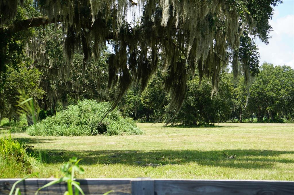 Gallagher Road Plant City, FL 33565 - Photo 7 of 7 a view of yard with green space