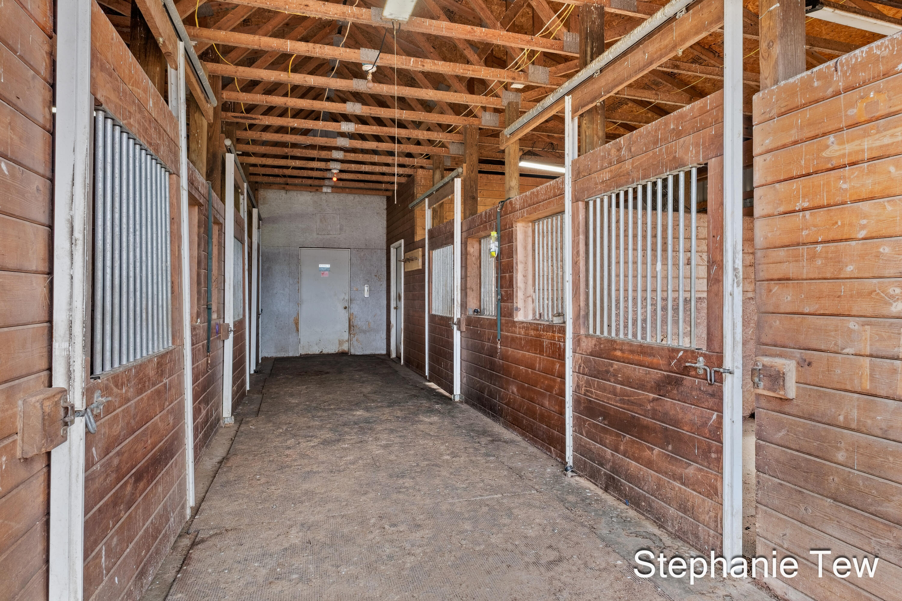 4155 North Neff Road Edmore, MI 48829 - Photo 12 of 40 Horse Stables