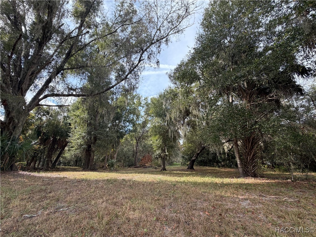 No Address No Address 201st Street Inglis, FL 34449 - Photo 3 of 9