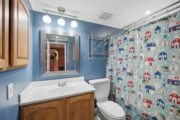 a bathroom with a sink a toilet and shower curtain