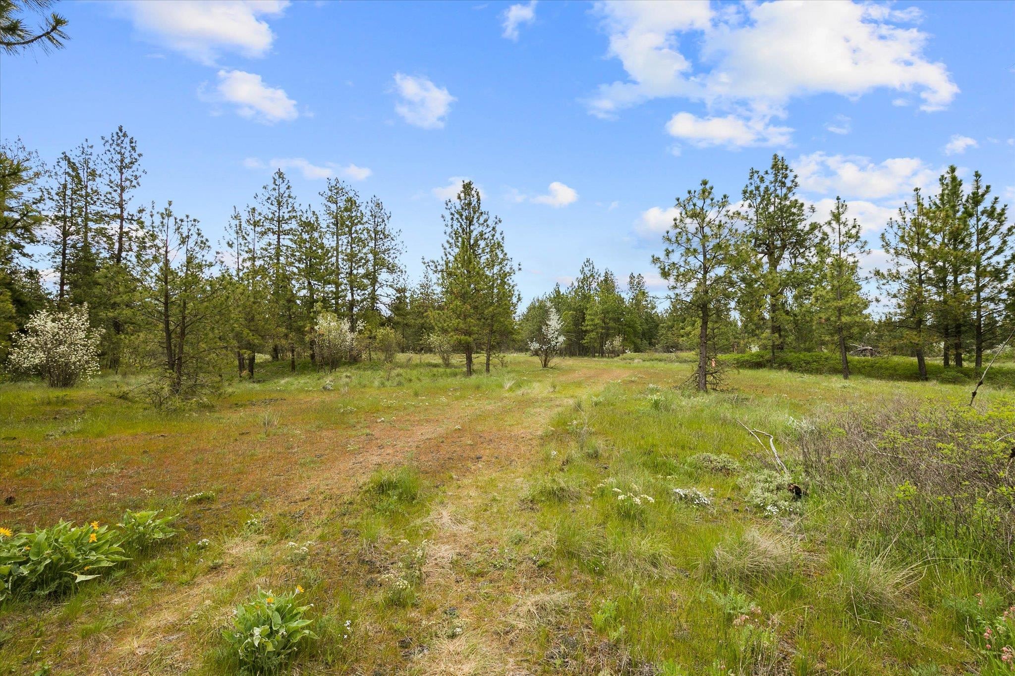 4410 North Dowdy Road Spokane, WA 99224 - Photo 3 of 11