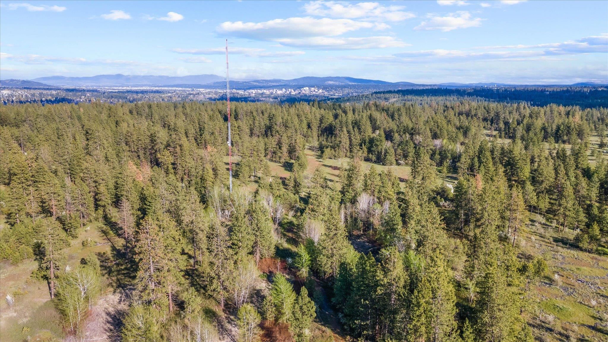 4410 North Dowdy Road Spokane, WA 99224 - Photo 10 of 11
