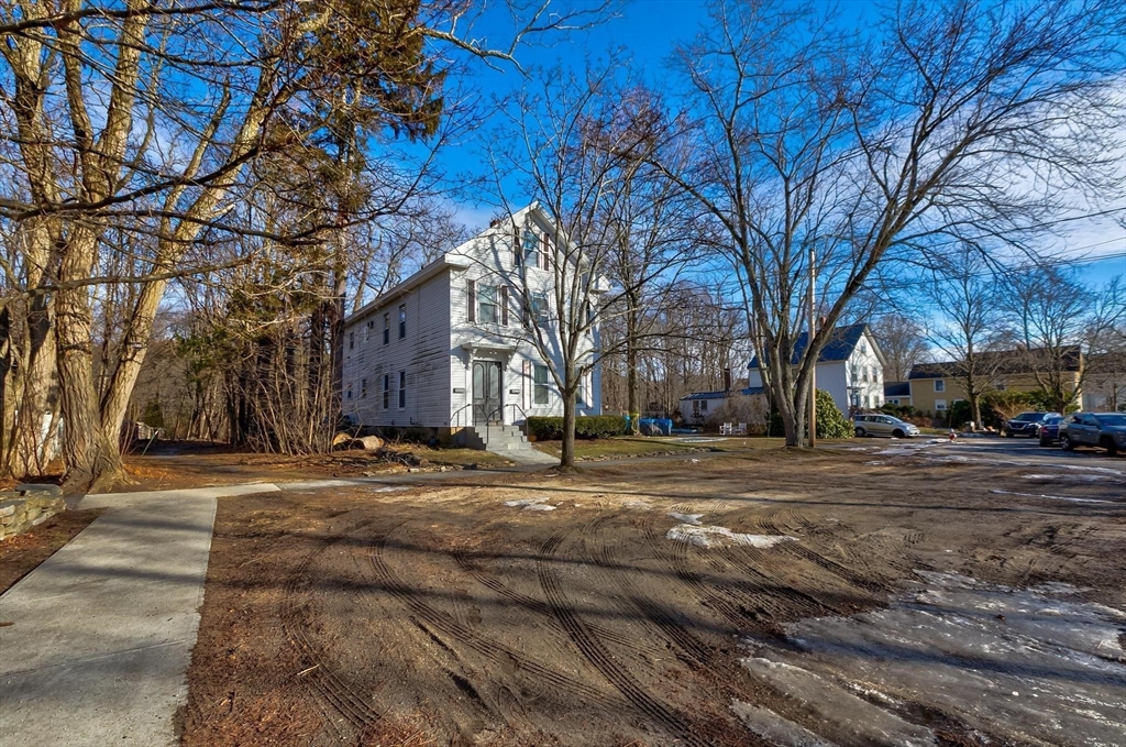 61 Church Street Merrimac, MA 01860 - Photo 20 of 32 a tall tree in middle of a yard