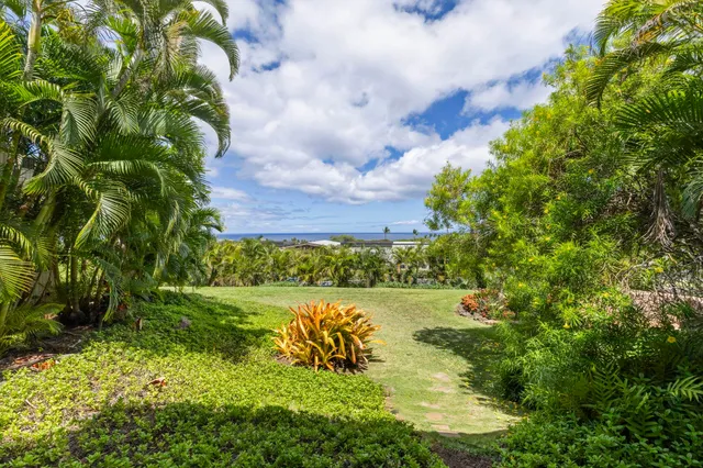 a view of yard with large tree
