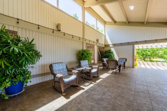 a view of a patio with plants and chairs
