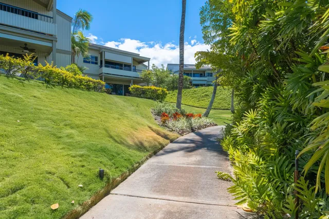 a view of a garden with plants