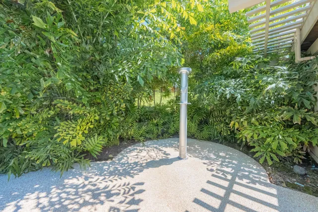 a view of a pathway both side of yard