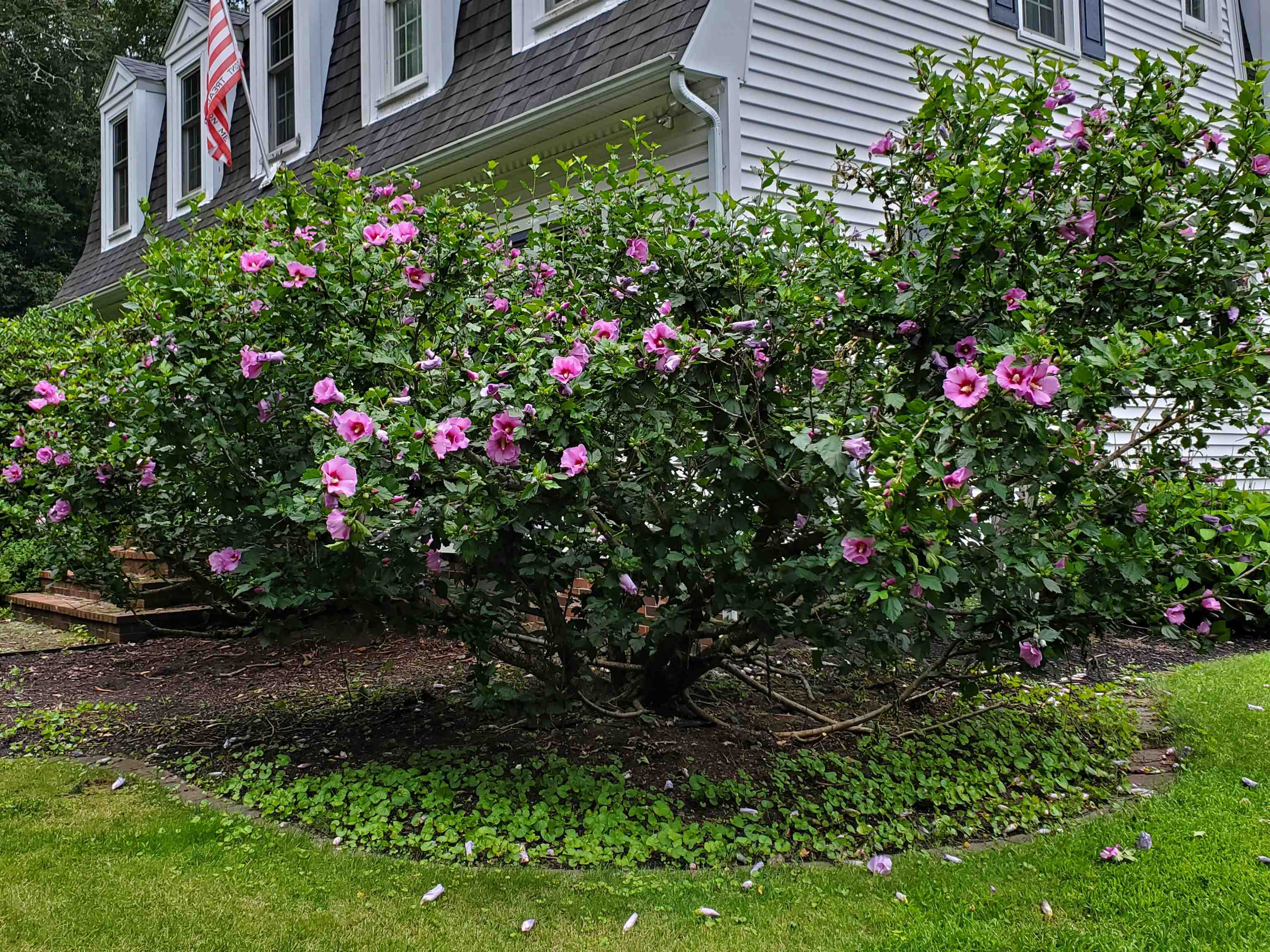 129 Castle Hill Road Windham, NH 03087 - Photo 33 of 40