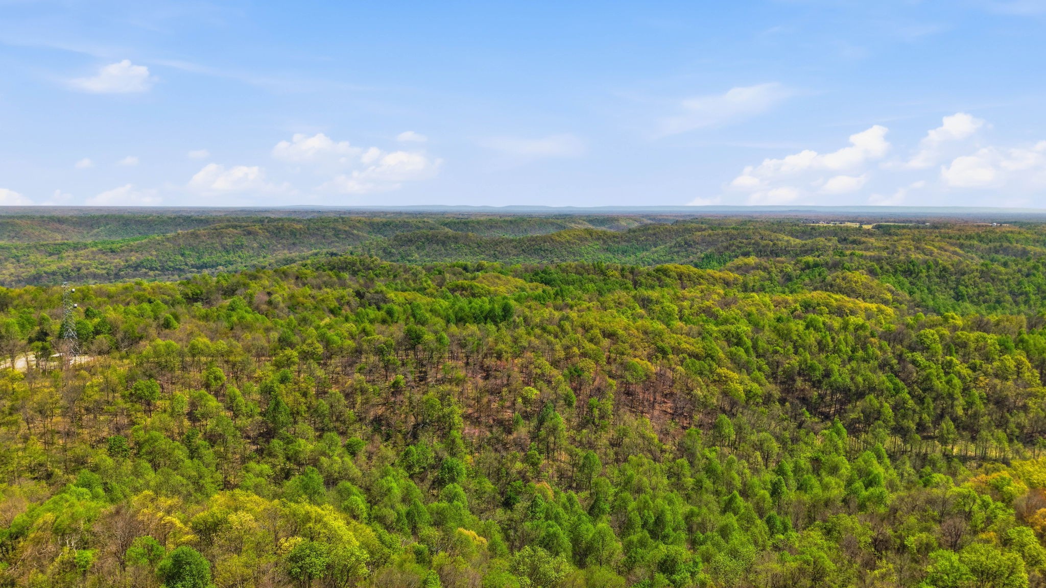 0 Green Road Beechgrove, TN 37018 - Photo 8 of 21 a view of a city