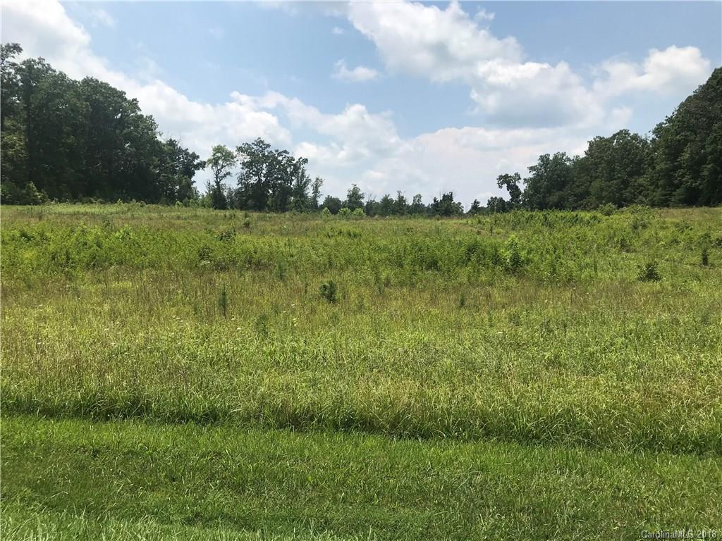 0 Old Gilbertown Road Rutherfordton, NC 28139 - Photo 1 of 2
