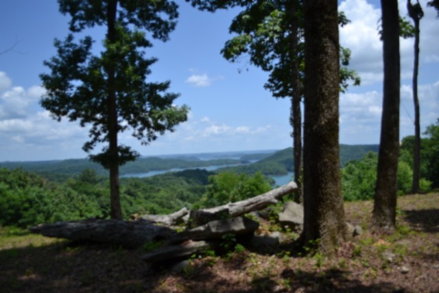 0 Rock Fish Road East Celina, TN 38551 - Photo 24 of 27