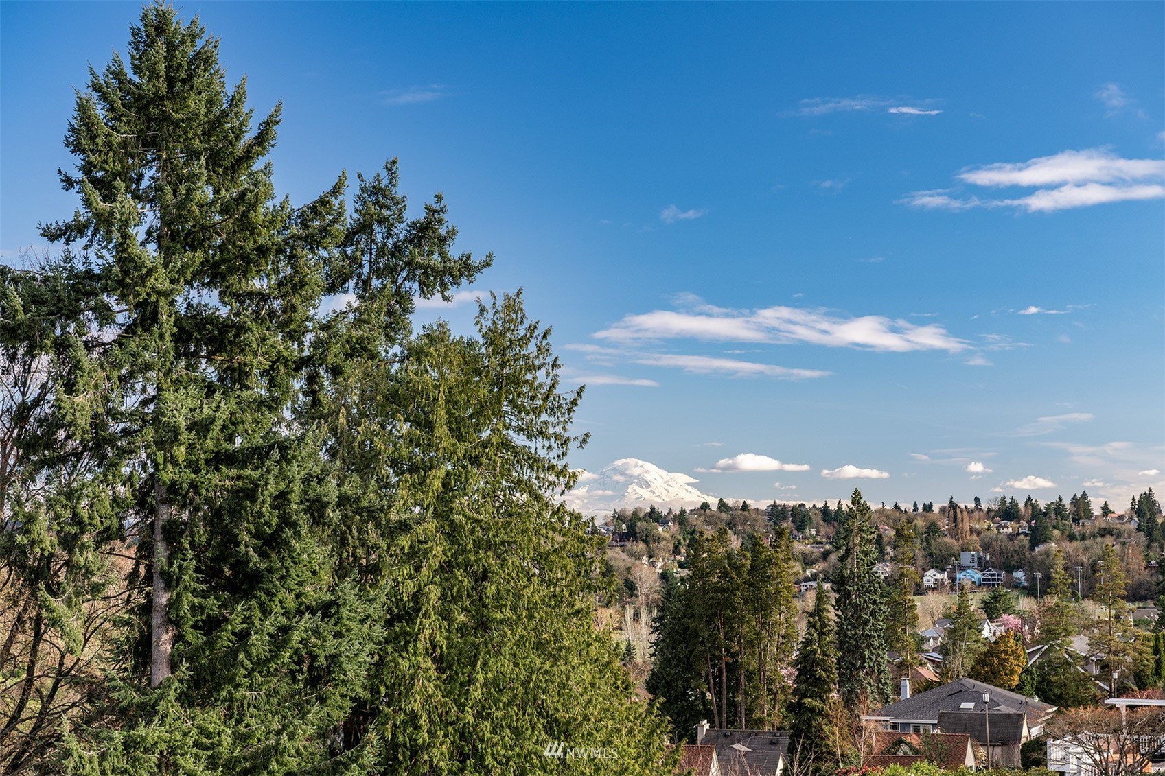 3328 Cascadia Avenue South Seattle, WA 98144 - Photo 29 of 40