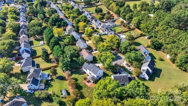 a view of a garden with plants