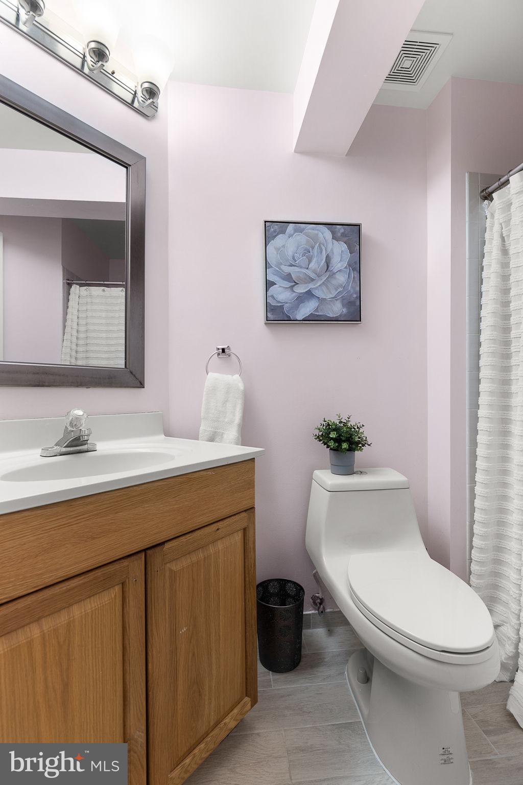 6582 Skylemar Trail Centreville, VA 20121 - Photo 40 of 46 a bathroom with a toilet a sink and mirror