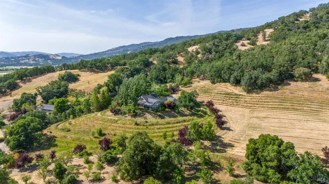 a view of a lake with a mountain in the background