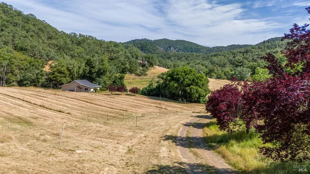 an aerial view of green landscape with trees houses and mountain view