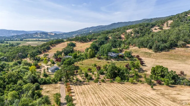 a view of a forest with a forest